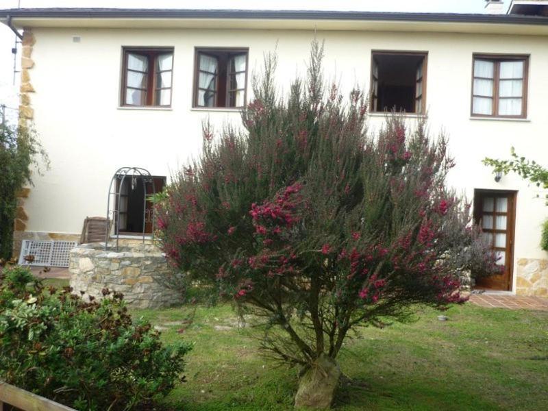 Apartamentos Rurales La Caramba Lamuno エクステリア 写真
